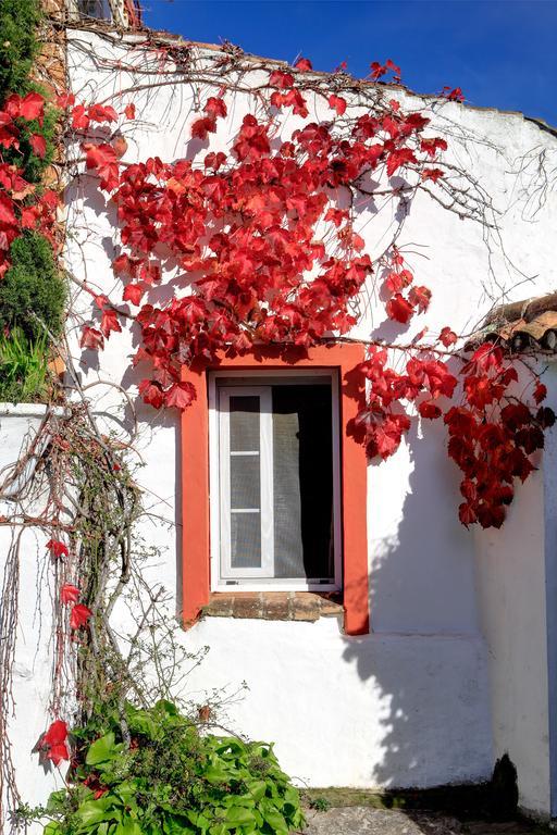 Pensjonat Cortijo La Hoya El Bujeo Zewnętrze zdjęcie